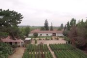 Viu Manent Wine Tasting and Tour